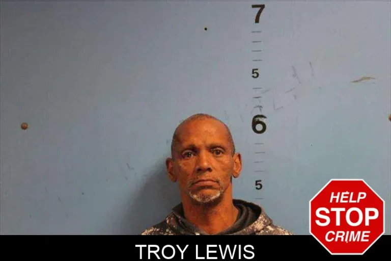 Troy Lewis