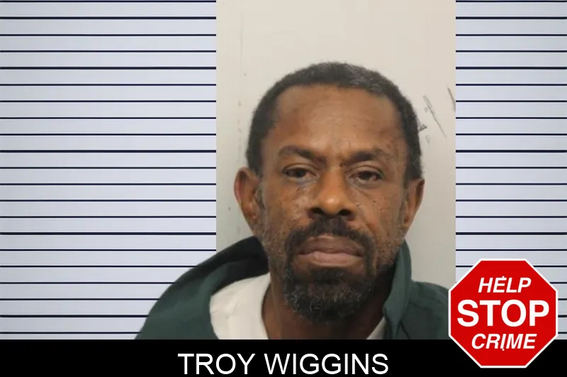 Troy Wiggins mugshot