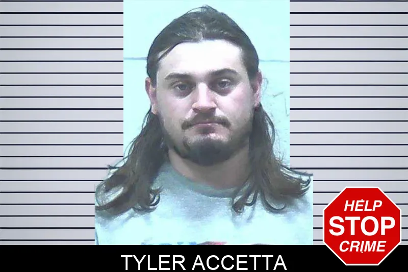 Tyler Accetta Mugshots