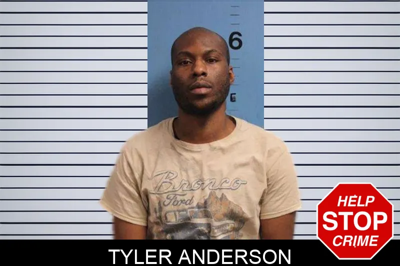Tyler Anderson Mugshots