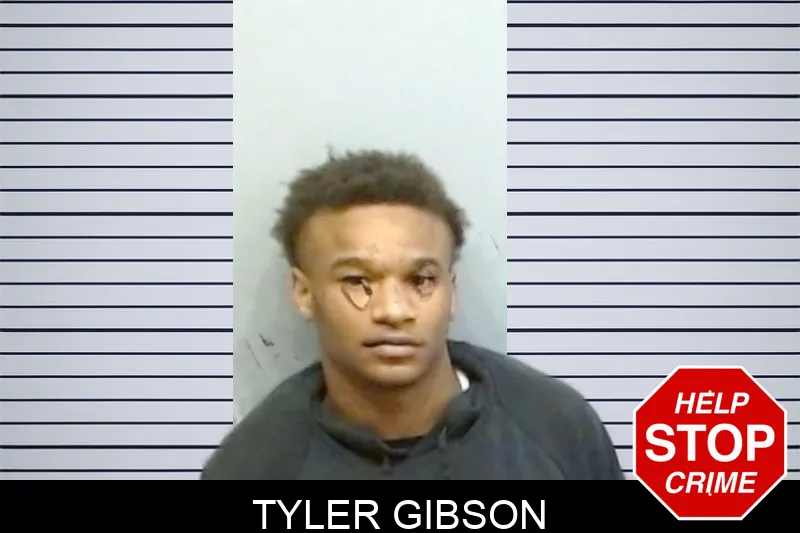 Tyler Gibson Mugshots