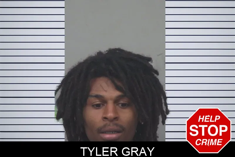 Tyler Gray mugshot – Gwinnett County , Georgia Tyler Gray mugshot