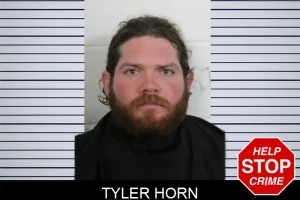 Tyler Horn mugshot
