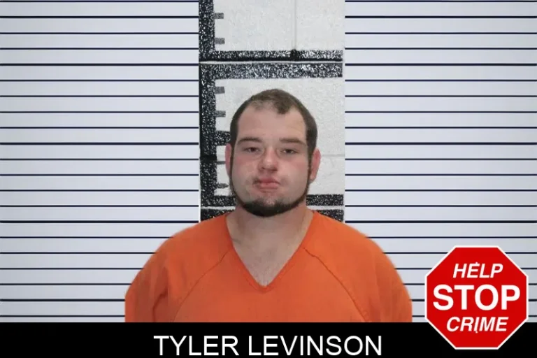 Tyler Levinson mugshot – Murray County , Georgia Tyler Levinson