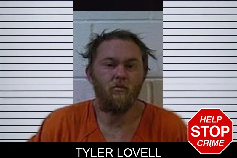 Tyler Lovell Mugshots