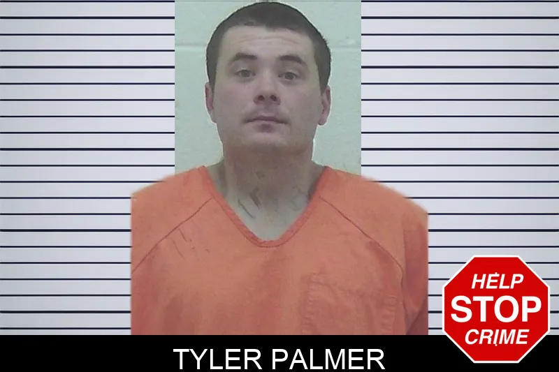 Tyler Palmer Mugshots