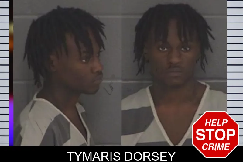 Tymaris Dorsey Mugshots