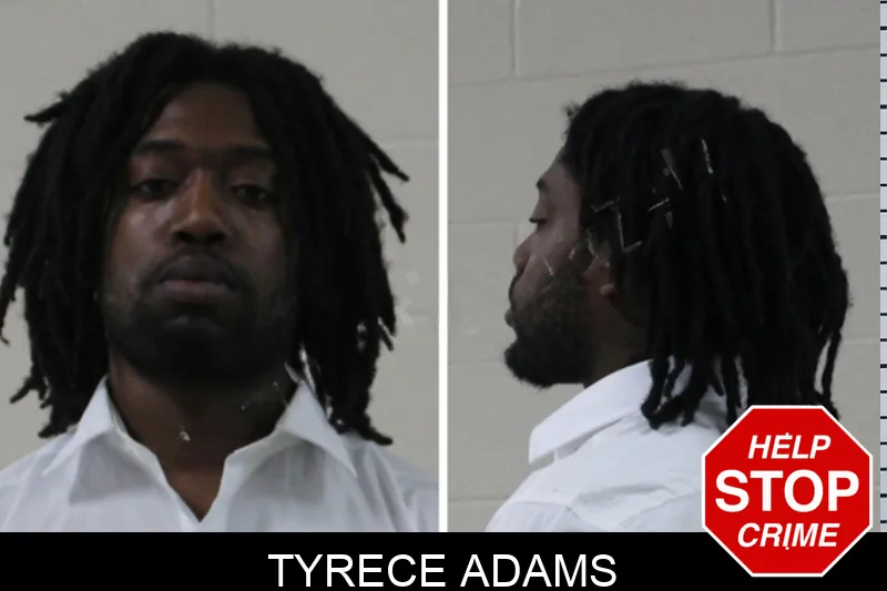 Tyrece Adams Mugshots