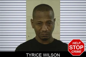 Tyrice Wilson mugshot