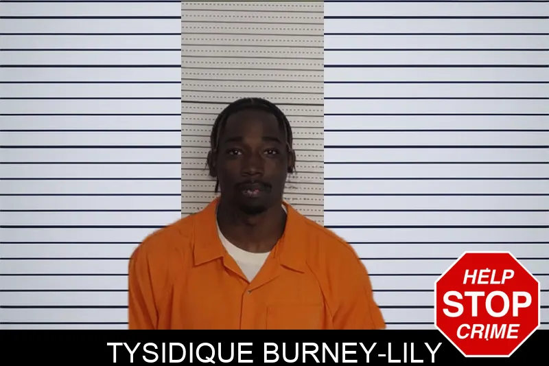 Tysidique Burney-Lily Mugshots