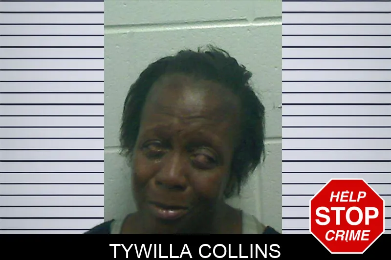 Tywilla Collins mugshot – Bulloch County , Georgia Tywilla Collins mugshot