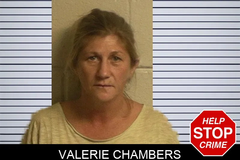 Valerie Chambers Mugshots