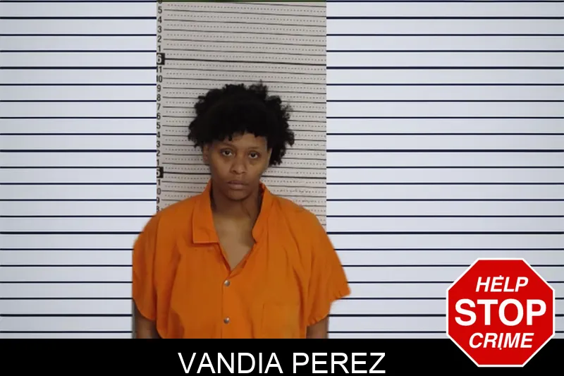 Vandia Perez Mugshots