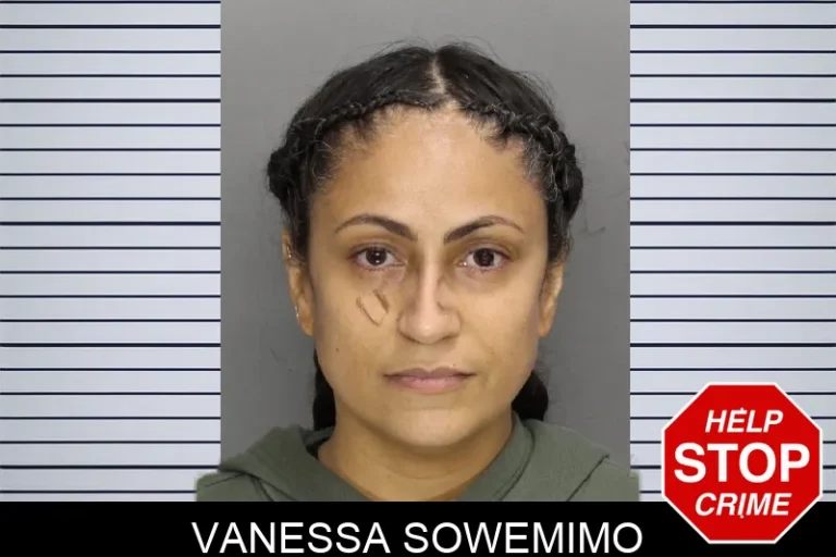 Vanessa Sowemimo mugshot – Cobb County , Georgia Vanessa Sowemimo