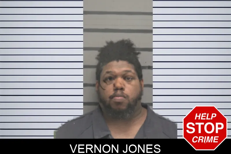 Vernon Jones Mugshots