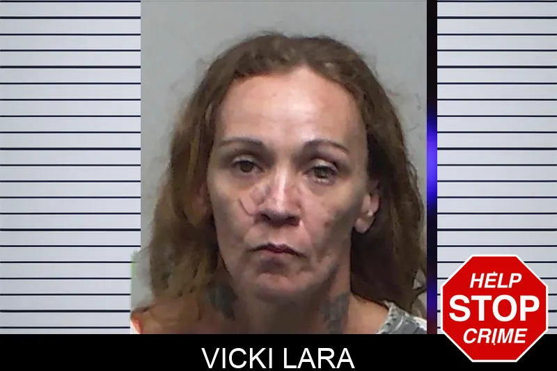 Vicki Lara Mugshots