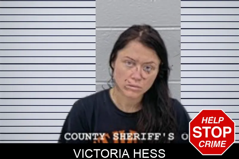 Victoria Hess Mugshots