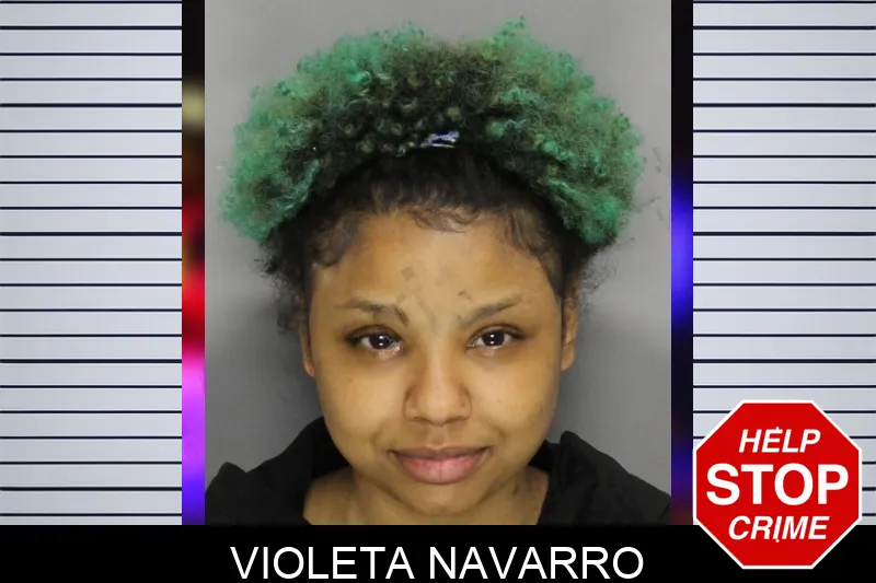 Violeta Navarro mugshot – Cobb County , Georgia Violeta Navarro mugshot