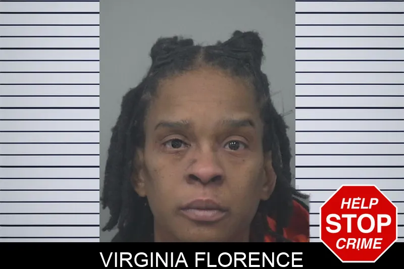Virginia Florence mugshot – Gwinnett County , Georgia Virginia Florence mugshot