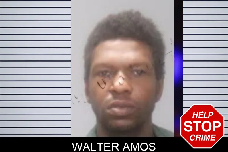 Walter Amos Mugshots