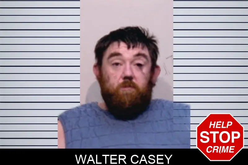 Walter Casey Mugshots