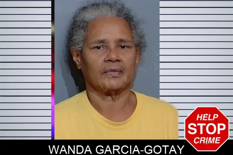 Wanda Garcia-Gotay