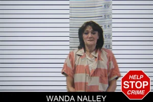 Wanda Nalley mugshot
