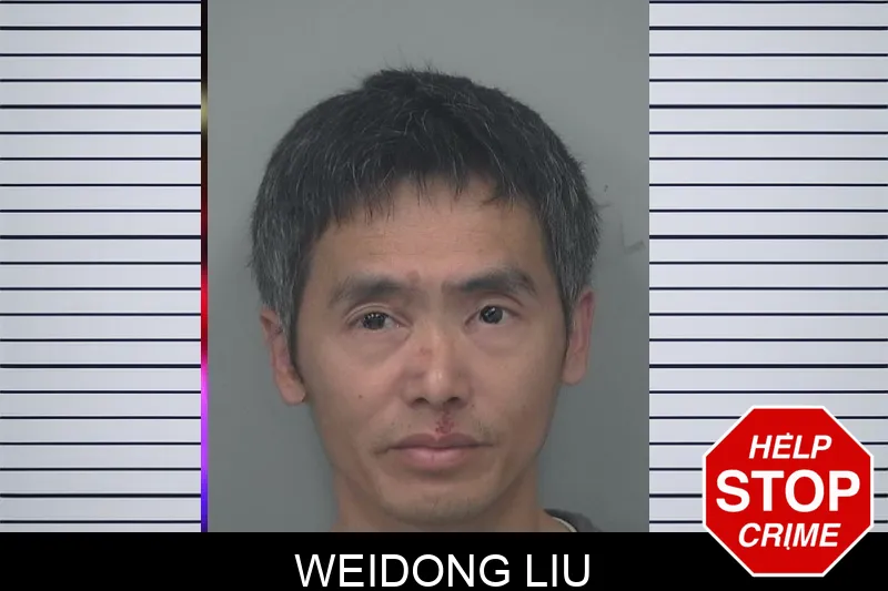 Weidong Liu Mugshots