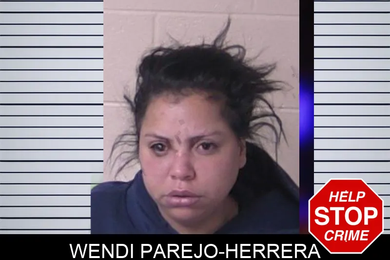 Wendi Parejo-Herrera Mugshots