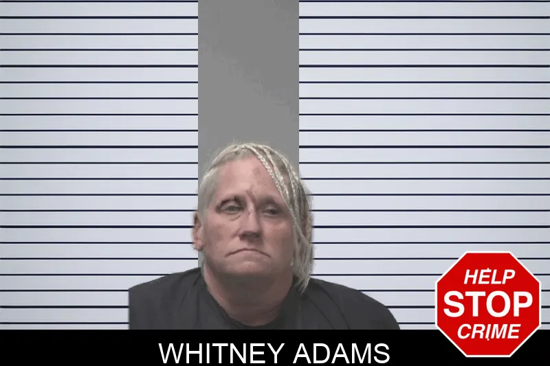 Whitney Adams Mugshots