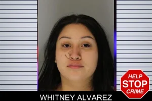 Whitney Alvarez mugshot