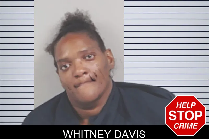 Whitney Davis Mugshots
