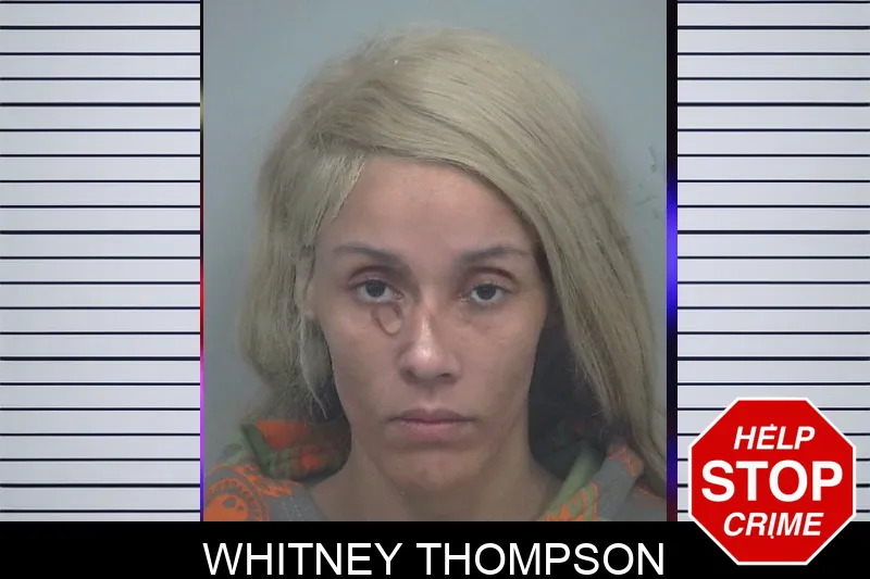 Whitney Thompson mugshot – Gwinnett County , Georgia Whitney Thompson mugshot