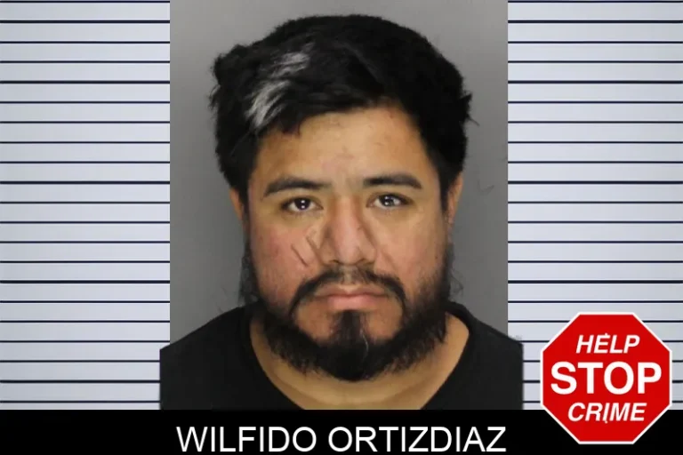 Wilfido Ortizdiaz