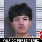 Wilfido Perez Perez Mugshots