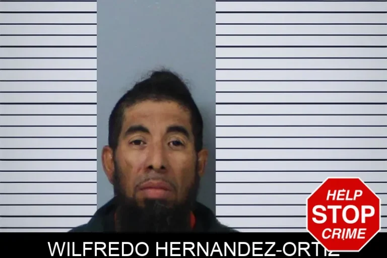 Wilfredo Hernandez-Ortiz