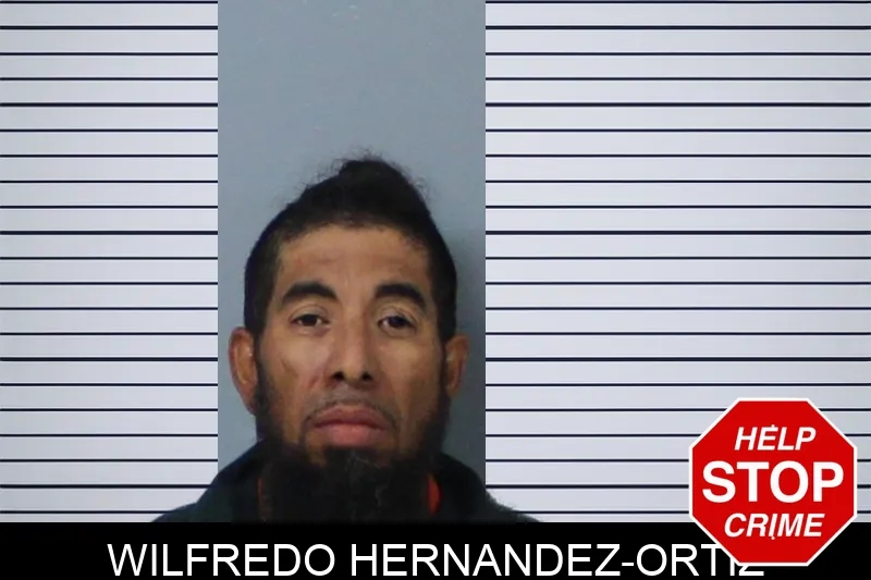 Wilfredo Hernandez-Ortiz Mugshots