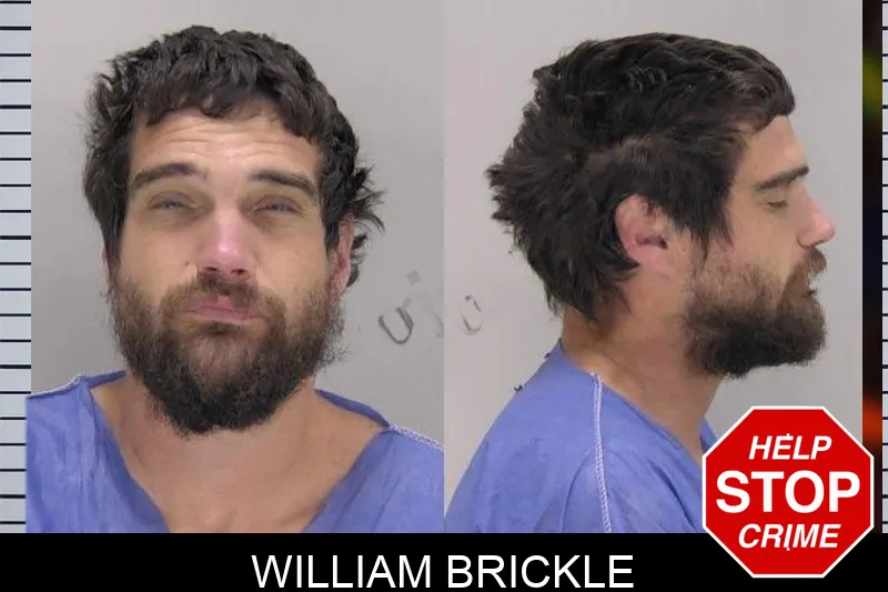 William Brickle Mugshots