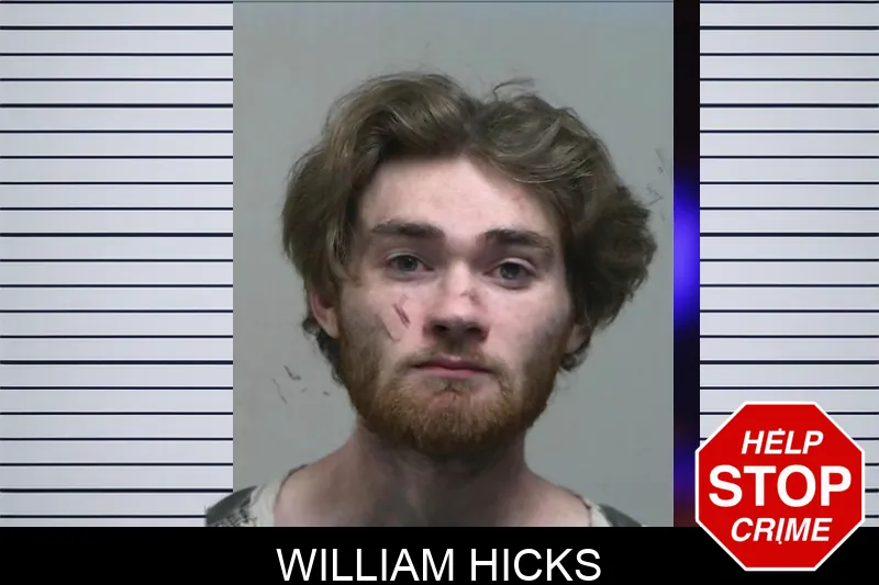William Hicks Mugshots
