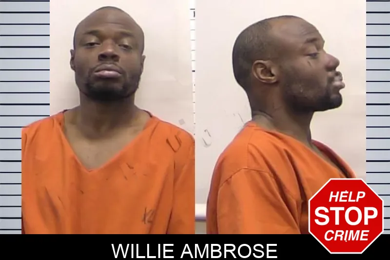 Willie Ambrose Mugshots