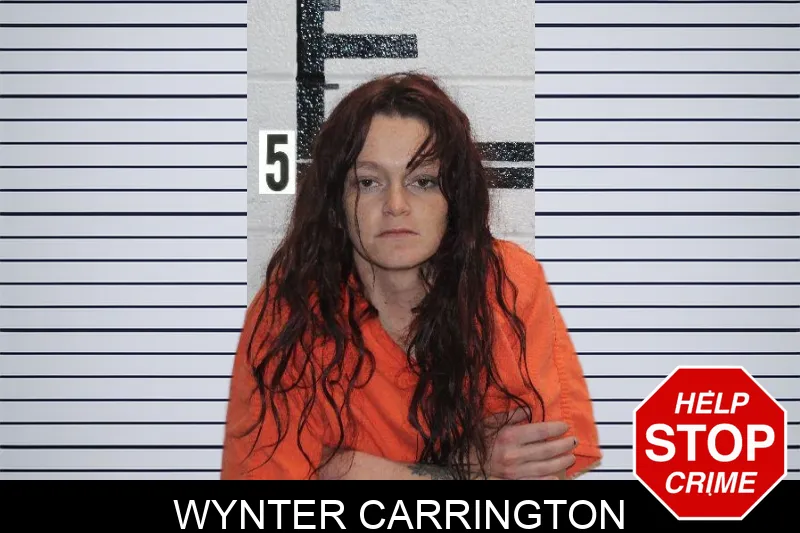 Wynter Carrington Mugshots