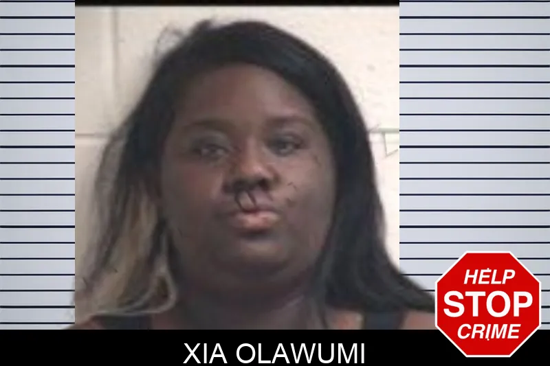 Xia Olawumi mugshot – Henry County , Georgia Xia Olawumi mugshot