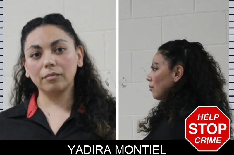 Yadira Montiel Mugshots