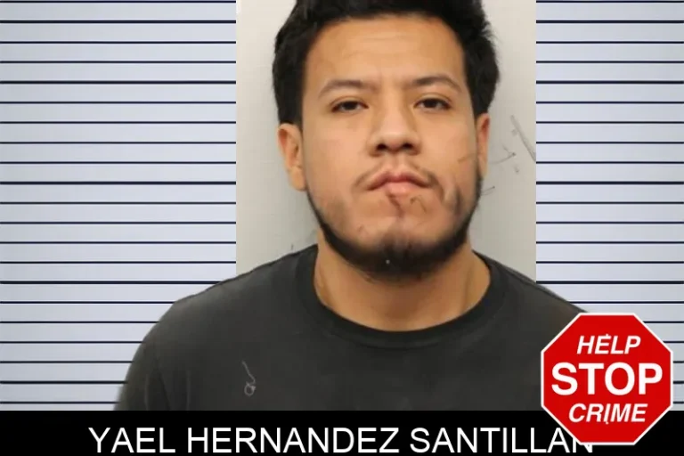 Yael Hernandez Santillan