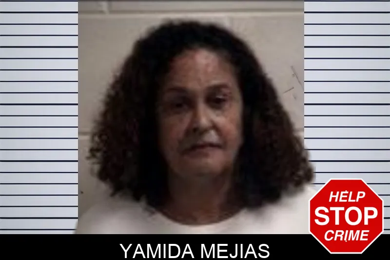 Yamida Mejias Mugshots