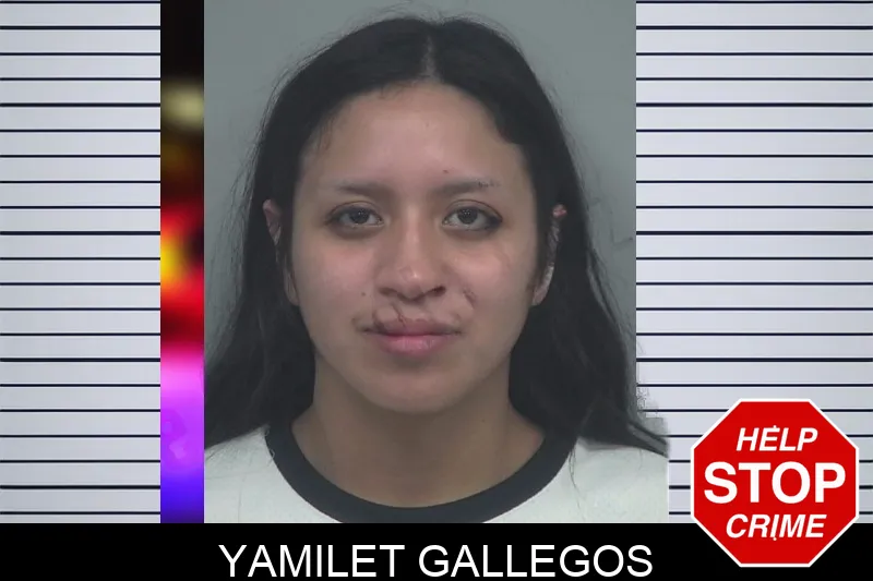 Yamilet Gallegos mugshot – Gwinnett County , Georgia Yamilet Gallegos mugshot