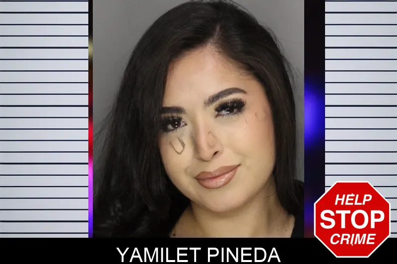 Yamilet Pineda Mugshots
