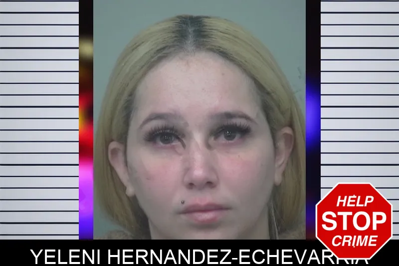 Yeleni Hernandez-Echevarria mugshot