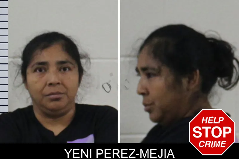 Yeni Perez-Mejia Mugshots