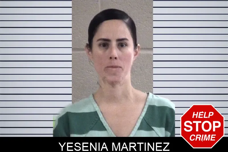 Yesenia Martinez Mugshots